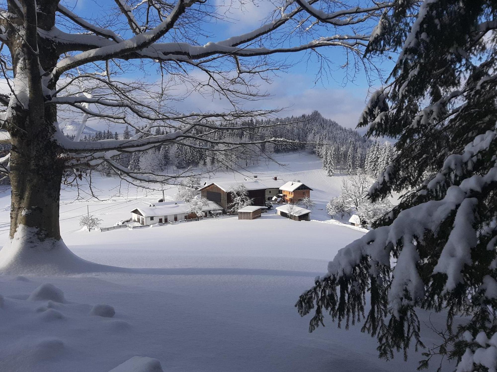 Bauernhof Ablass Göstling an der Ybbs Extérieur photo