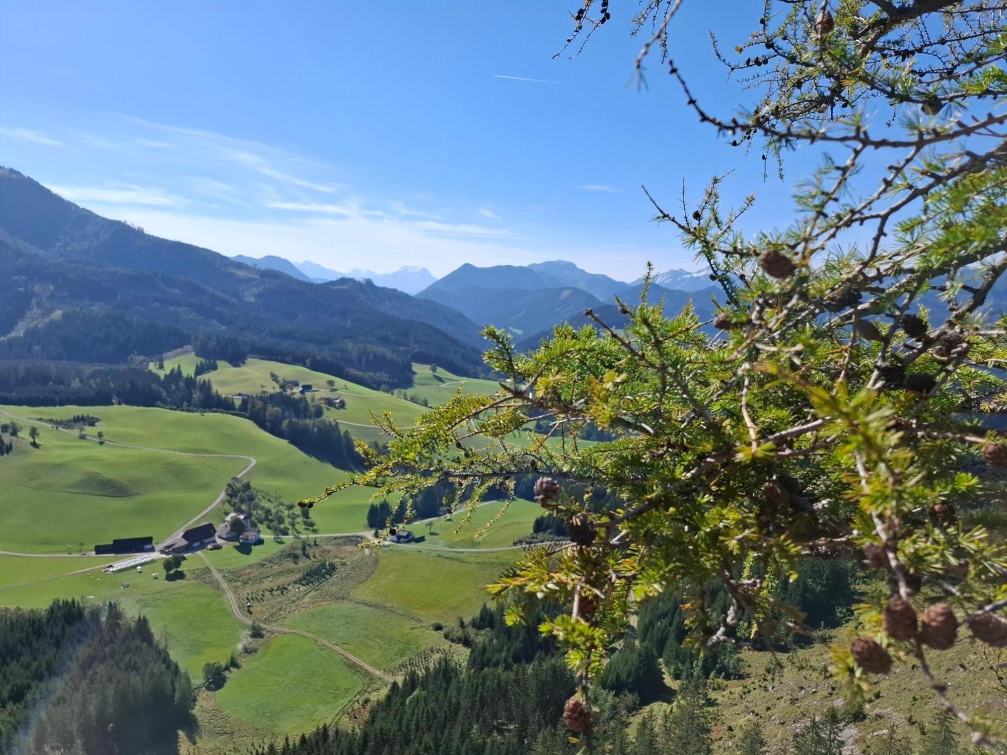 Bauernhof Ablass Göstling an der Ybbs Extérieur photo