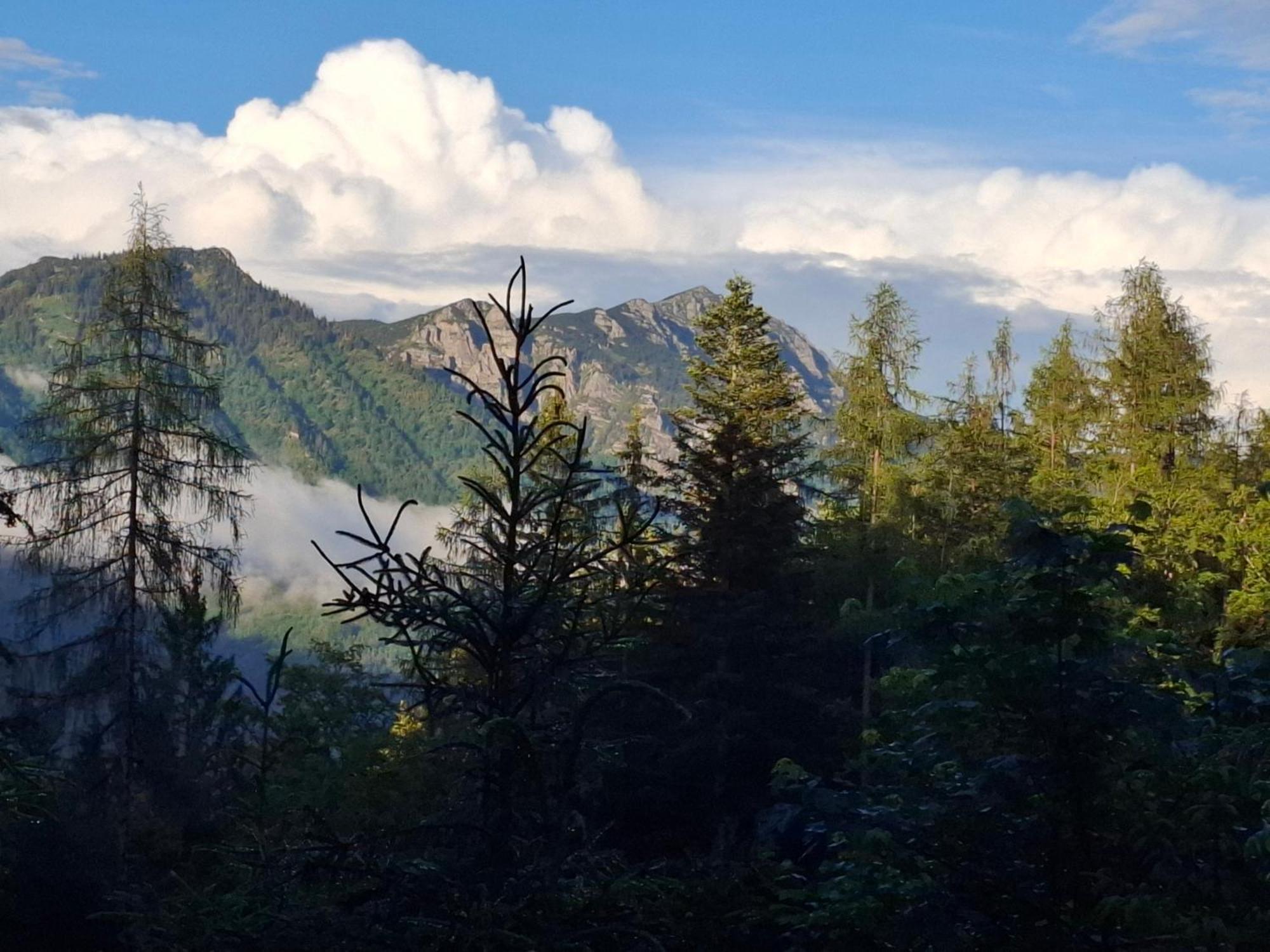 Bauernhof Ablass Göstling an der Ybbs Extérieur photo