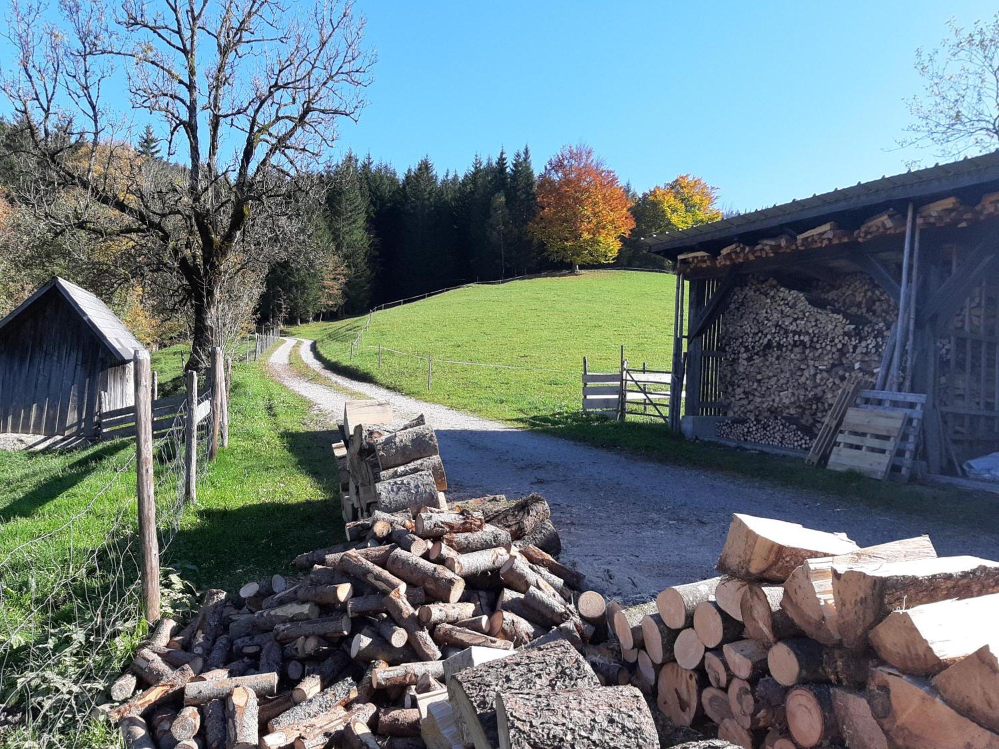 Bauernhof Ablass Göstling an der Ybbs Extérieur photo