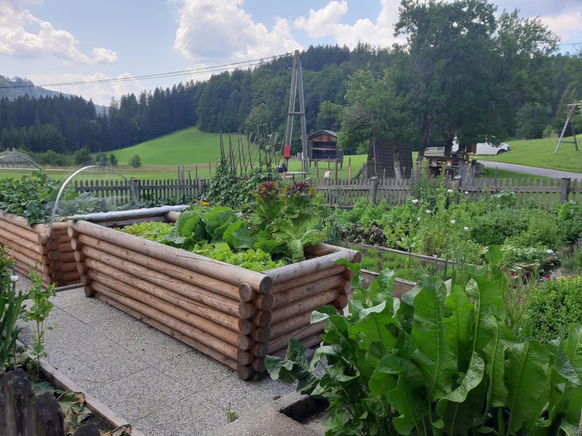 Bauernhof Ablass Göstling an der Ybbs Extérieur photo