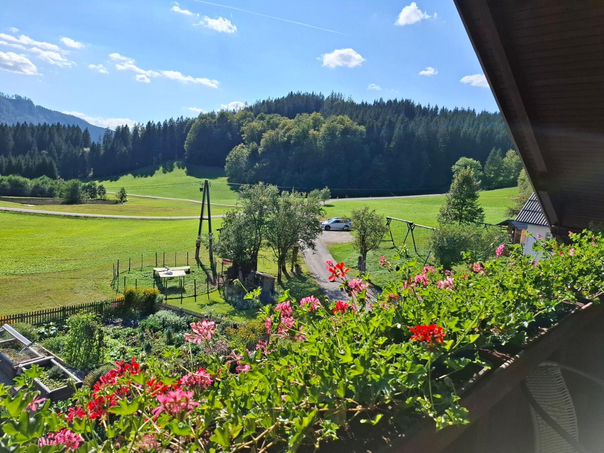 Bauernhof Ablass Göstling an der Ybbs Extérieur photo