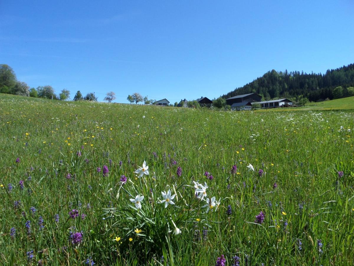 Bauernhof Ablass Göstling an der Ybbs Extérieur photo